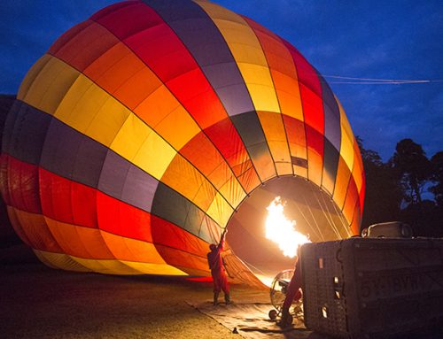 Hot Air Balloon Ride at Governors Camp