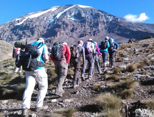 8 Days Mt Kilimanjaro Climbing, Trekking Umbwe Route